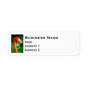 Flamingo Return Address Label