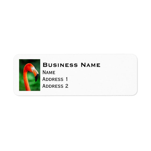 Flamingo Return Address Label (Front)