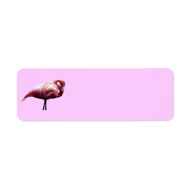 Flamingo Return Address Label (Front)