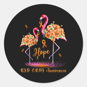 Flamingo Rsd Crps Awareness 1  Classic Round Sticker