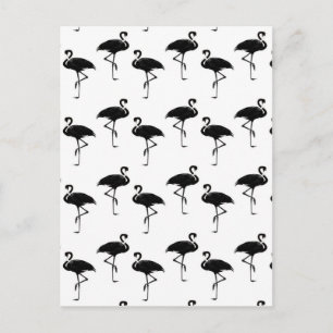 Flamingo Silhouettes Pattern Black White Postcard