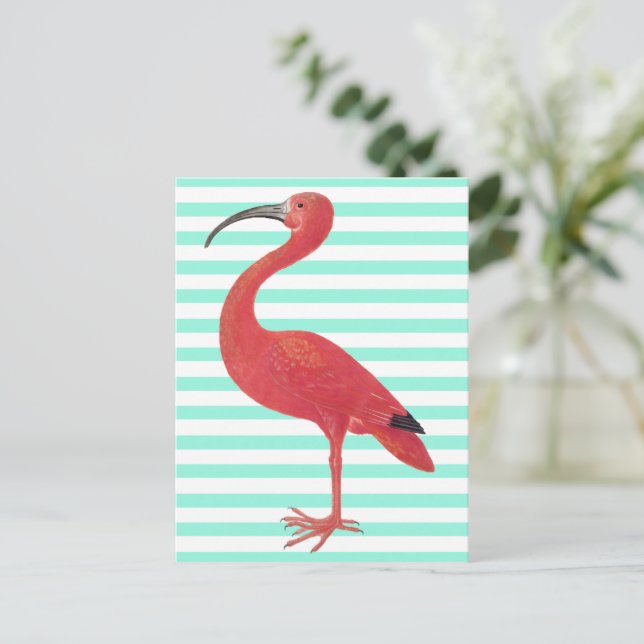 Flamingo & Teal stripes - Fine Art Postcard (Standing Front)