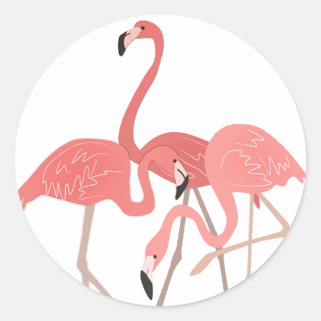 Flamingo Trio Classic Round Sticker (Front)