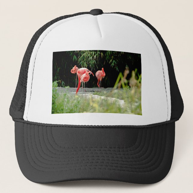 flamingo trucker hat (Front)