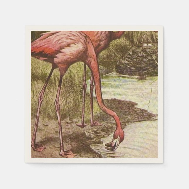 Flamingo Vintage Illustration  Napkin (Front)