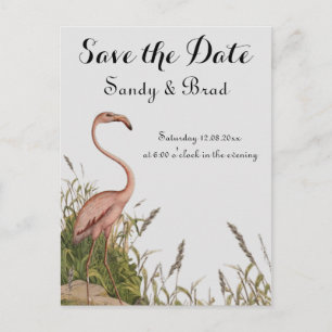Flamingo Vintage Watercolor  Save Date Wedding Postcard