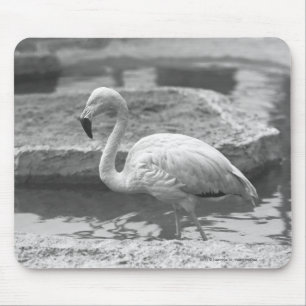 Flamingo wading in water B&W Mouse Pad