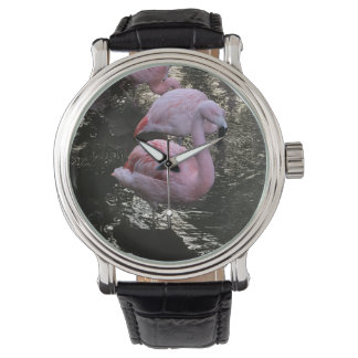 Flamingo watch