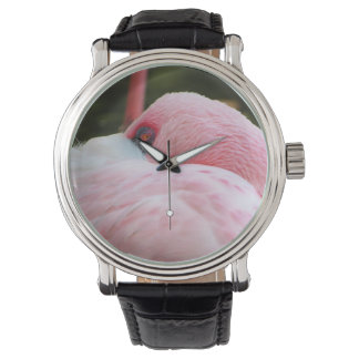 Flamingo  watch