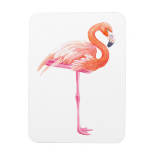 Flamingo watercolor magnet