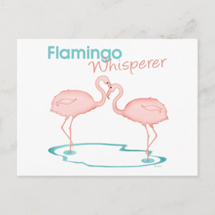 Flamingo Whisperer Postcard
