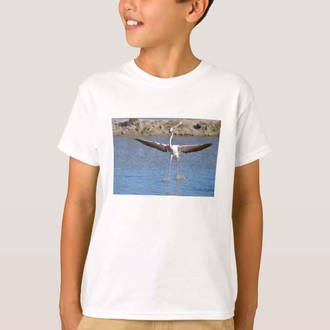 Flamingo wings spread in Camargue T-Shirt (Front)