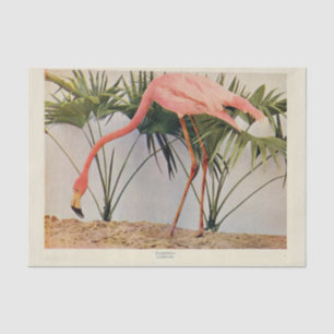 Flamingoes Bird Ephemera Decoupage Tissue Paper