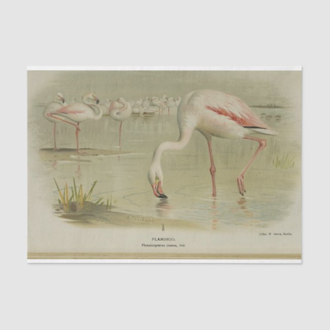 Flamingoes Birds Ephemera Decoupage Tissue Paper (Front)