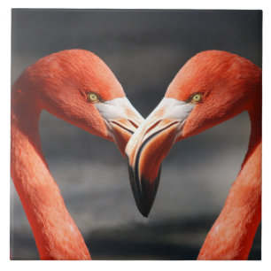 Flamingoes in Love Ceramic Tile