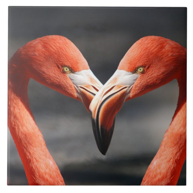 Flamingoes in Love Ceramic Tile (Front)
