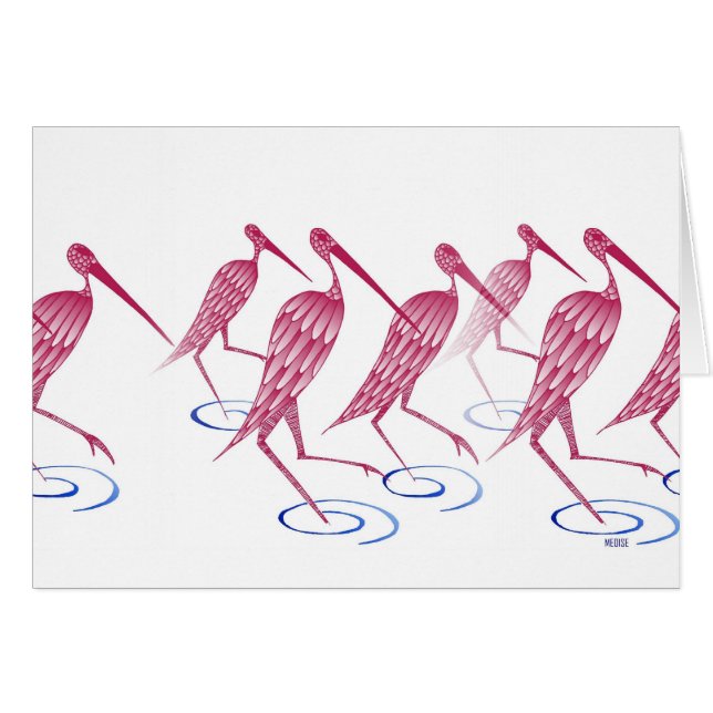 Flamingos (Front Horizontal)