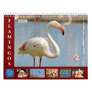 Flamingos 12 month calendar