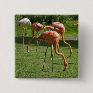 Flamingos 15 Cm Square Badge