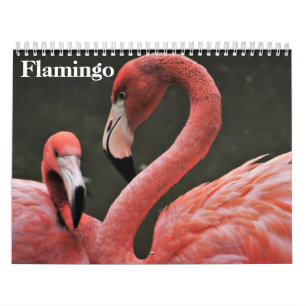 Flamingos 2026 calendar