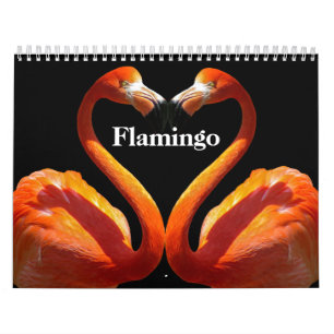 Flamingos 2026 calendar