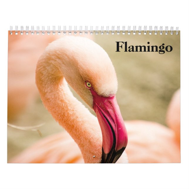 Flamingos 2026 calendar (Cover)