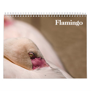 Flamingos 2026 calendar