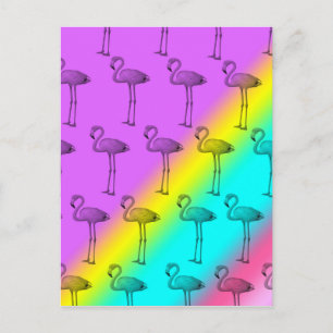 Flamingos 2 postcard