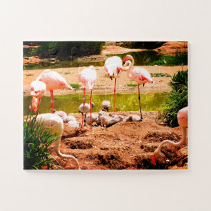Flamingos and chicks birds jigsaw puzzle