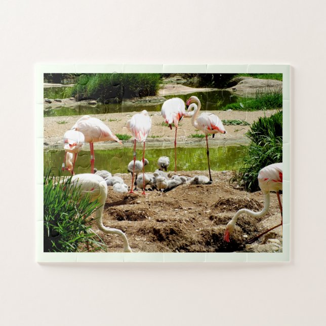 Flamingos and chicks jigsaw puzzle (Horizontal)