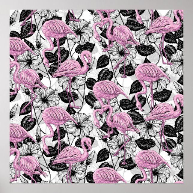 Flamingos and hibiscus flowers poster (Front)