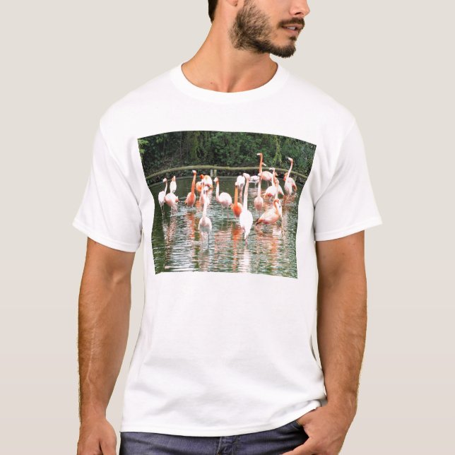 Flamingos and reflections T-Shirt (Front)