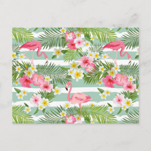 Flamingos And Stripes 2 Postcard