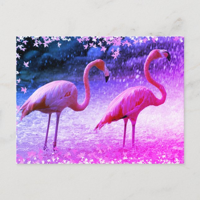 Flamingos and waterfall postcard (Front)