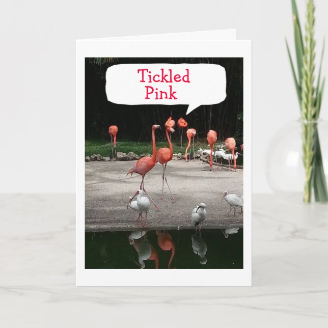FLAMINGOS ARE "TICKLED PINK" IT IS YOUR BIRTHDAY CARD (Front)