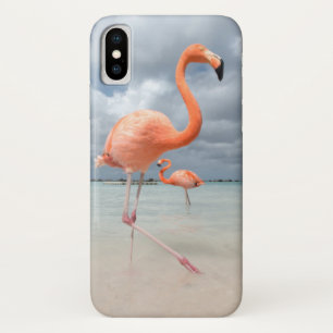 Flamingos Beach Aruba iPhone X Case