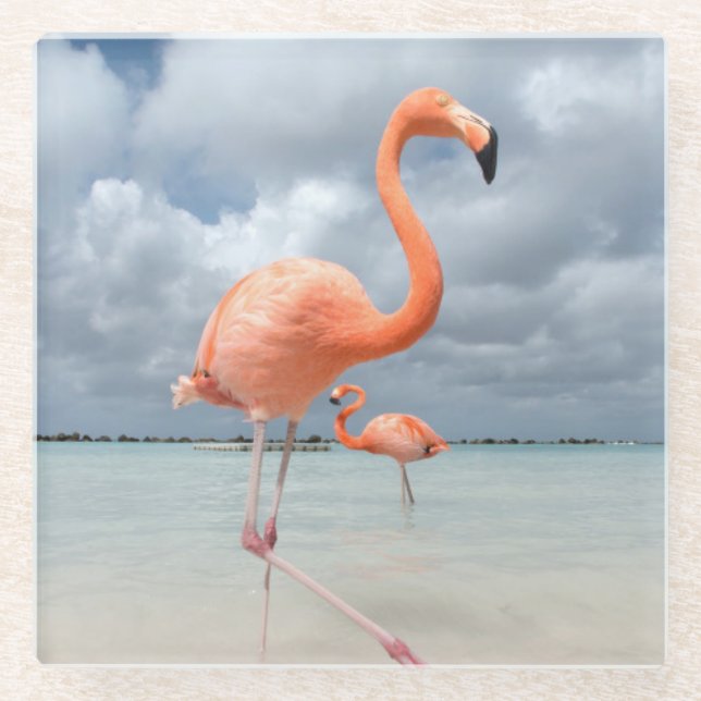 Flamingos Beach Aruba Glass Coaster (Front)