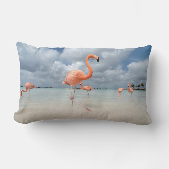 Flamingos Beach Aruba Lumbar Cushion (Front)