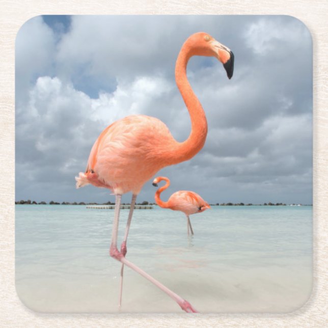 Flamingos Beach Aruba Square Paper Coaster (Front)