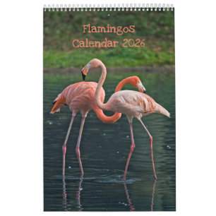 Flamingos Calendar