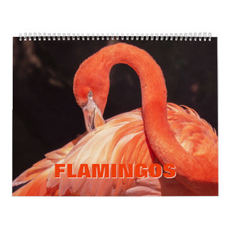 Flamingos Calendar