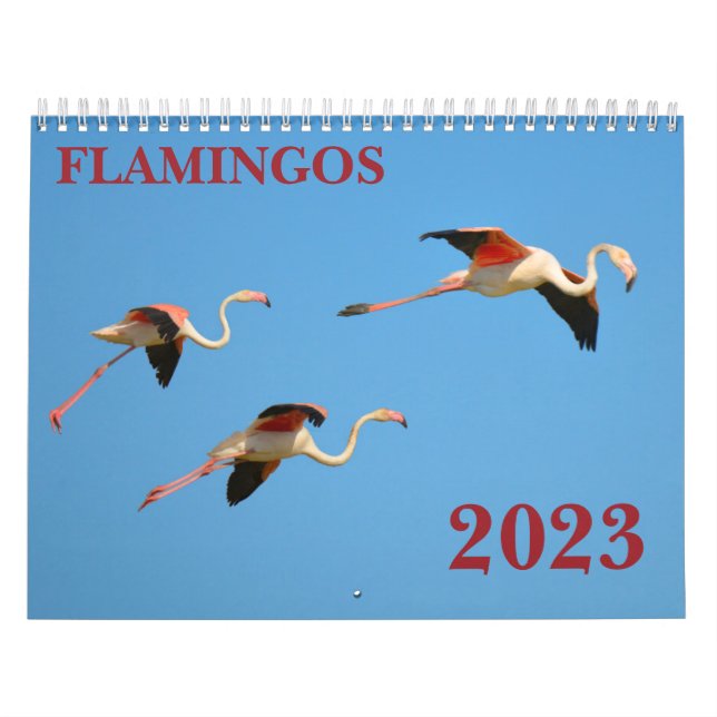 Flamingos calendar (Cover)