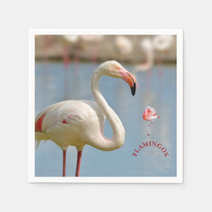 Flamingos calendar napkin