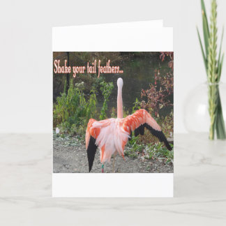 Flamingos Card