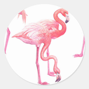 Flamingos Classic Round Sticker