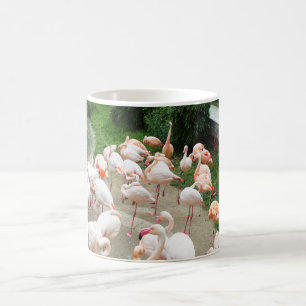 Flamingos Coffee Mug