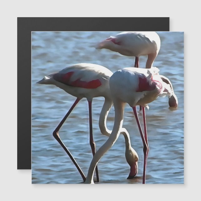 Flamingos Feeding Time Acrylic Painting (Front/Back)