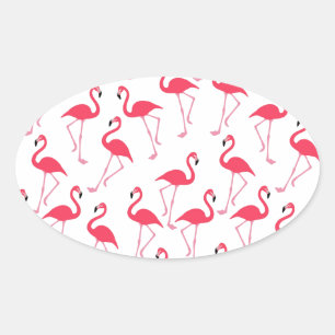 flamingos Flimingos Oval Sticker