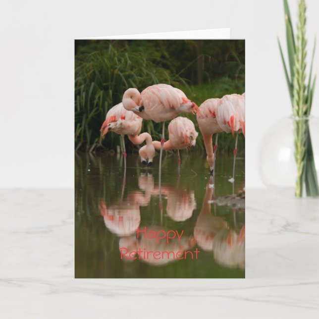 Flamingos Happy Retirement Card (Front)