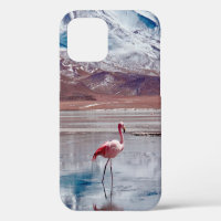 Flamingos in Lagoon in Salt Flats, Bolivia. Salar